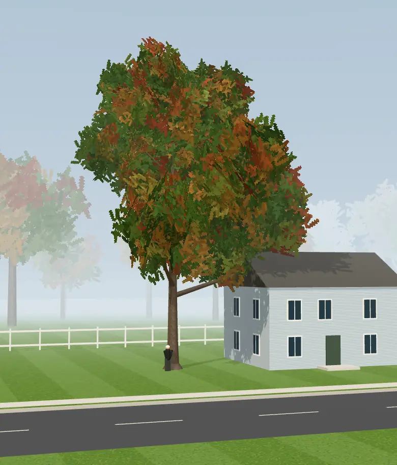 An oak beside a two-story house before the removal